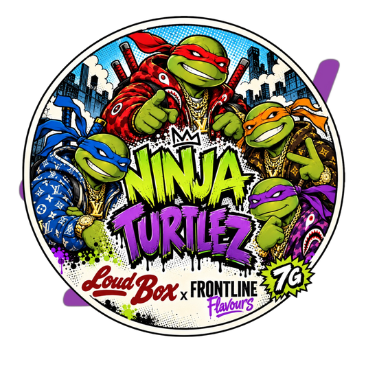 Ninja Turtlez Graphic Sticker