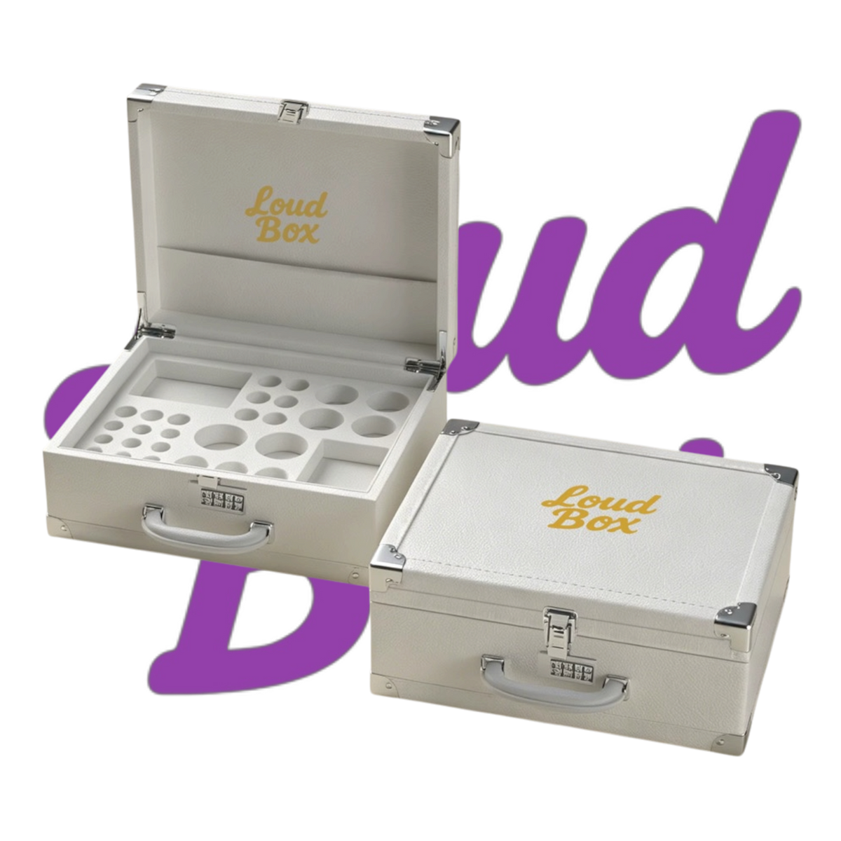 Loudbox Storage Box (White)